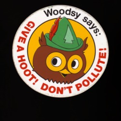 Woodsy The Owl Don't Pollute Environment Retro T Shirt 33738836