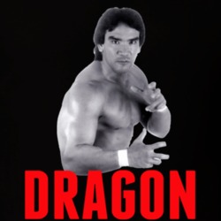 Ricky The Dragon Steamboat Wrestling Legend T Shirt 33794532
