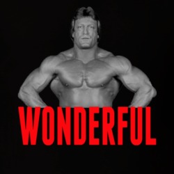 Mr. Wonderful Paul Orndorff Wrestling Legend T Shirt 33794581
