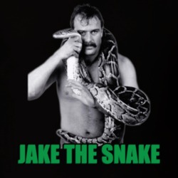Jake The Snake Wwf Legend Retro Wrestling T Shirt 33886804