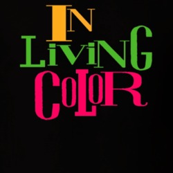 In Living Color Tv Show Logo Funny T Shirt 34456158