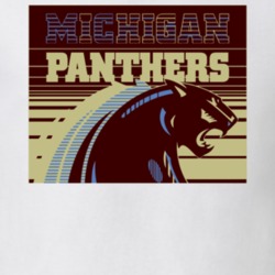 Michigan Panthers Usfl Retro 80's Football T Shirt 34485700