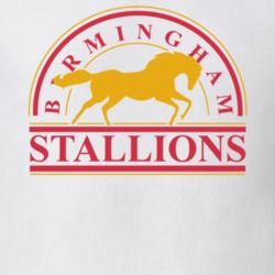 Birmingham Stallions Usfl Retro 80's Football T Shirt 34485710