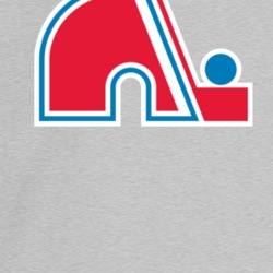 Quebec Nordiques Logo Retro Hockey Grey Crewneck Sweatshirt T Shirt 35427378