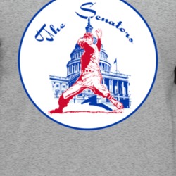 Washington Senators Retro Baseball Logo Baseball Raglan T Shirt 35576389