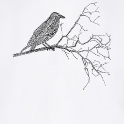 Edgar Allen Poe The Raven T Shirt 93323