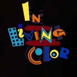 In Living Color 90s Tv Show T Shirt 96863