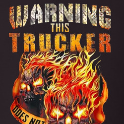 Warning This Trucker Does Not Play Well With Stupid People T Shirt 40352609