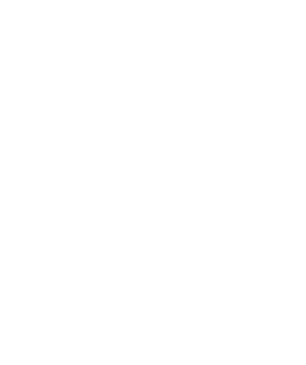 https://d1w8c6s6gmwlek.cloudfront.net/thevillagetshirtshop.com/overlays/12987.png img