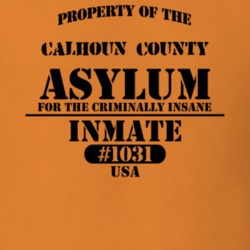 Calhoun County Michigan Insane Prison Asylum T Shirt 2278683
