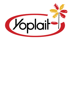 image overlay