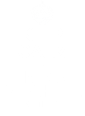 https://d1w8c6s6gmwlek.cloudfront.net/tshirtwarrior.com/overlays/172/976/17297657.png img