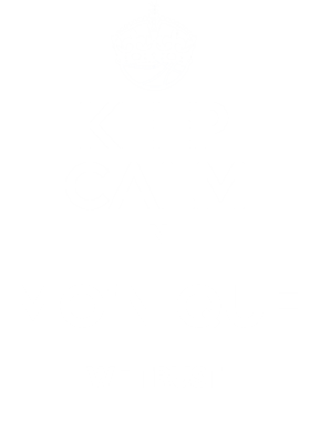 https://d1w8c6s6gmwlek.cloudfront.net/tshirtwarrior.com/overlays/172/976/17297693.png img