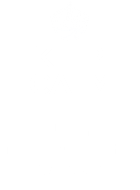 https://d1w8c6s6gmwlek.cloudfront.net/tshirtwarrior.com/overlays/172/977/17297706.png img