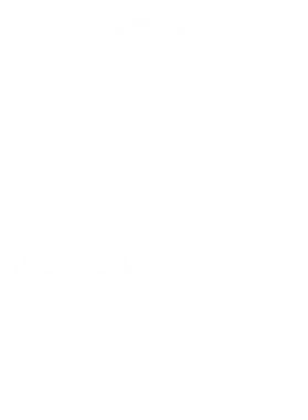 https://d1w8c6s6gmwlek.cloudfront.net/tshirtwarrior.com/overlays/228/831/22883179.png img
