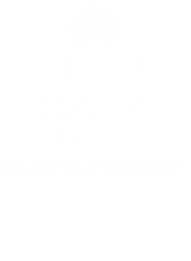 https://d1w8c6s6gmwlek.cloudfront.net/tshirtwarrior.com/overlays/228/832/22883286.png img