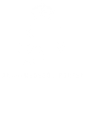 https://d1w8c6s6gmwlek.cloudfront.net/tshirtwarrior.com/overlays/228/833/22883328.png img