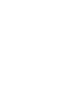 https://d1w8c6s6gmwlek.cloudfront.net/tshirtwarrior.com/overlays/228/833/22883384.png img
