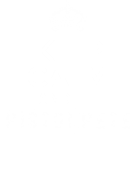 https://d1w8c6s6gmwlek.cloudfront.net/tshirtwarrior.com/overlays/228/842/22884275.png img