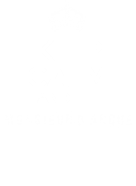 https://d1w8c6s6gmwlek.cloudfront.net/tshirtwarrior.com/overlays/228/871/22887118.png img