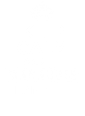 https://d1w8c6s6gmwlek.cloudfront.net/tshirtwarrior.com/overlays/228/875/22887505.png img