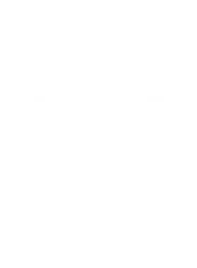 https://d1w8c6s6gmwlek.cloudfront.net/tshirtwarrior.com/overlays/232/220/23222013.png img