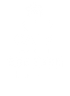 image overlay