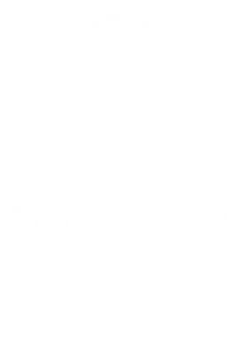 image overlay