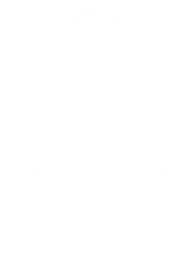 image overlay