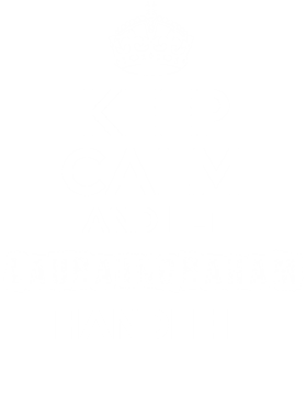 image overlay