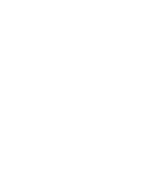 https://d1w8c6s6gmwlek.cloudfront.net/tshirtwarrior.com/overlays/255/264/25526438.png img