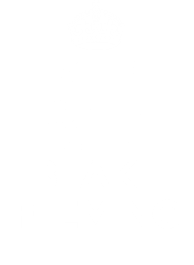 https://d1w8c6s6gmwlek.cloudfront.net/tshirtwarrior.com/overlays/255/270/25527001.png img
