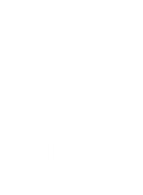 https://d1w8c6s6gmwlek.cloudfront.net/tshirtwarrior.com/overlays/255/270/25527018.png img