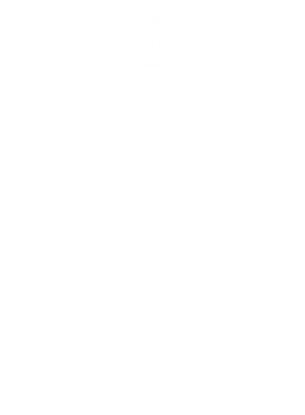 https://d1w8c6s6gmwlek.cloudfront.net/tshirtwarrior.com/overlays/255/285/25528505.png img