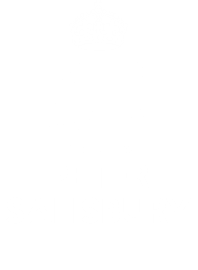 https://d1w8c6s6gmwlek.cloudfront.net/tshirtwarrior.com/overlays/255/303/25530306.png img