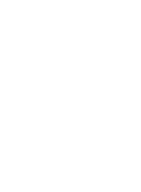 https://d1w8c6s6gmwlek.cloudfront.net/tshirtwarrior.com/overlays/255/303/25530350.png img