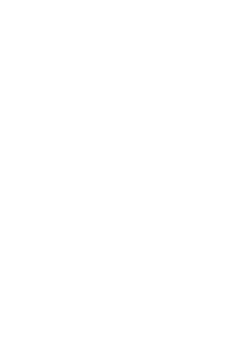 https://d1w8c6s6gmwlek.cloudfront.net/tshirtwarrior.com/overlays/255/310/25531091.png img