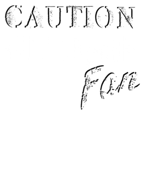 https://d1w8c6s6gmwlek.cloudfront.net/tshirtwarrior.com/overlays/256/210/25621004.png img
