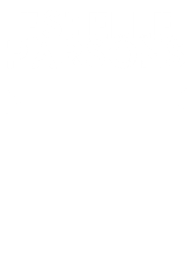 https://d1w8c6s6gmwlek.cloudfront.net/tshirtwarrior.com/overlays/256/942/25694262.png img