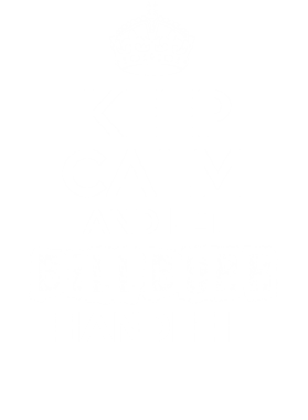 https://d1w8c6s6gmwlek.cloudfront.net/tshirtwarrior.com/overlays/311/966/31196699.png img