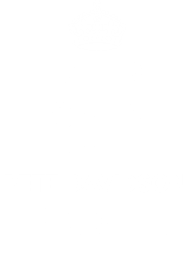 https://d1w8c6s6gmwlek.cloudfront.net/tshirtwarrior.com/overlays/311/967/31196751.png img