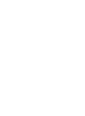 https://d1w8c6s6gmwlek.cloudfront.net/tshirtwarrior.com/overlays/311/969/31196993.png img