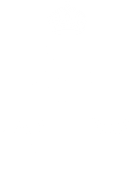 https://d1w8c6s6gmwlek.cloudfront.net/tshirtwarrior.com/overlays/311/974/31197467.png img