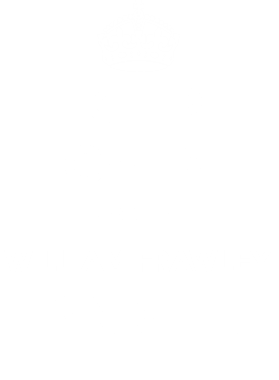 https://d1w8c6s6gmwlek.cloudfront.net/tshirtwarrior.com/overlays/311/975/31197504.png img