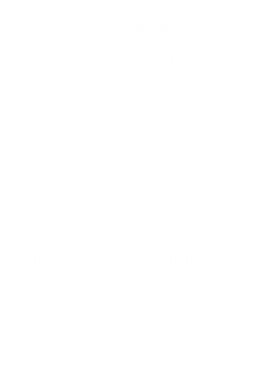 https://d1w8c6s6gmwlek.cloudfront.net/tshirtwarrior.com/overlays/311/978/31197858.png img