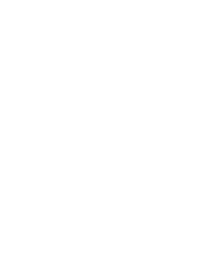 https://d1w8c6s6gmwlek.cloudfront.net/tshirtwarrior.com/overlays/311/979/31197905.png img