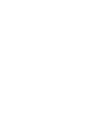 https://d1w8c6s6gmwlek.cloudfront.net/tshirtwarrior.com/overlays/311/979/31197997.png img