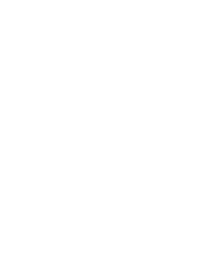 https://d1w8c6s6gmwlek.cloudfront.net/tshirtwarrior.com/overlays/311/981/31198123.png img