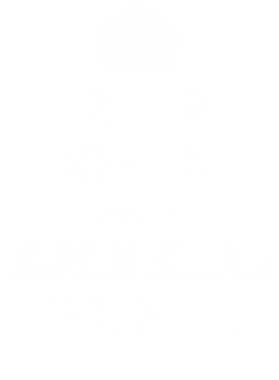 https://d1w8c6s6gmwlek.cloudfront.net/tshirtwarrior.com/overlays/311/991/31199161.png img