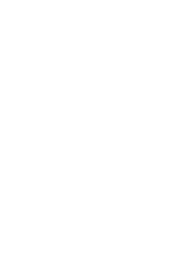 image overlay
